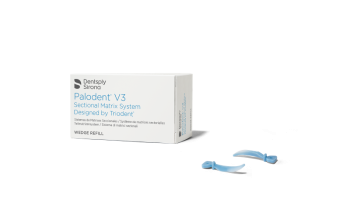 Palodent kliny 100szt.