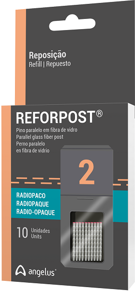REFORPOST GLASS FIBER - 727 - n2 - Refill - 10un - Package.png