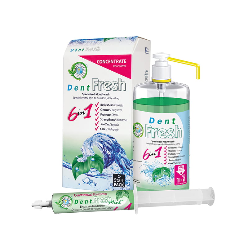DENT-FRESH-start-pack-mint.jpg