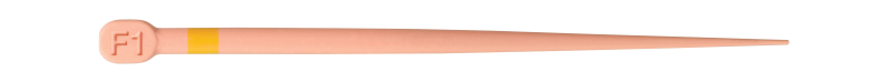 3151.png