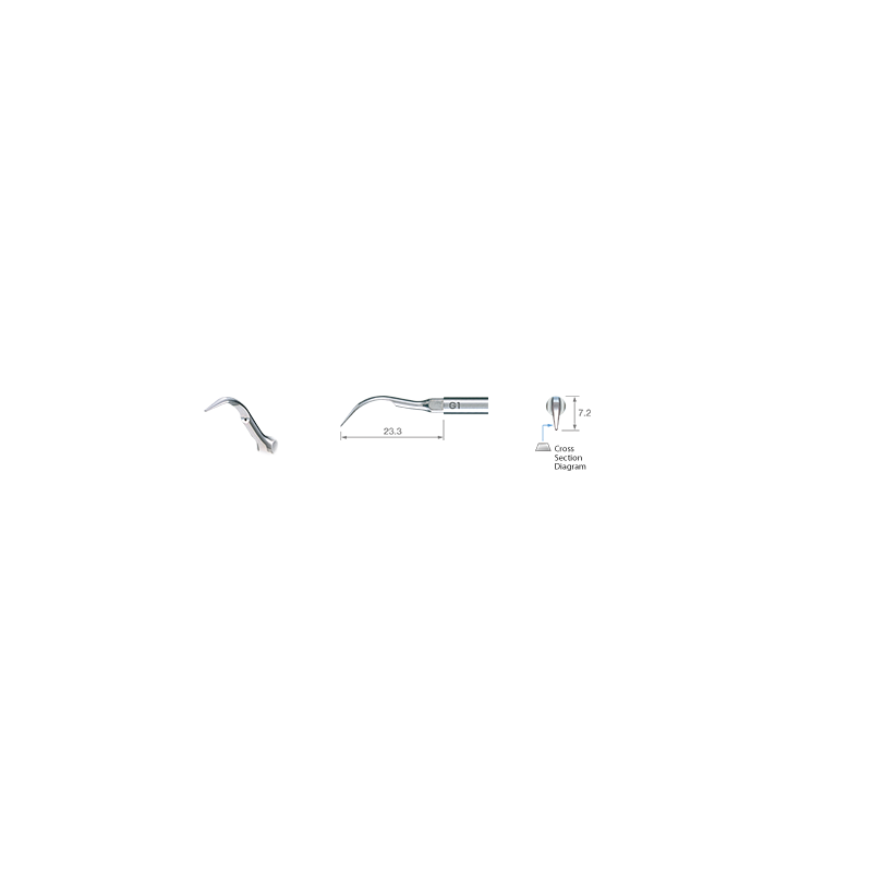 g1nsk.png